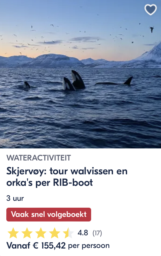 rib boot tour met orka's in tromso